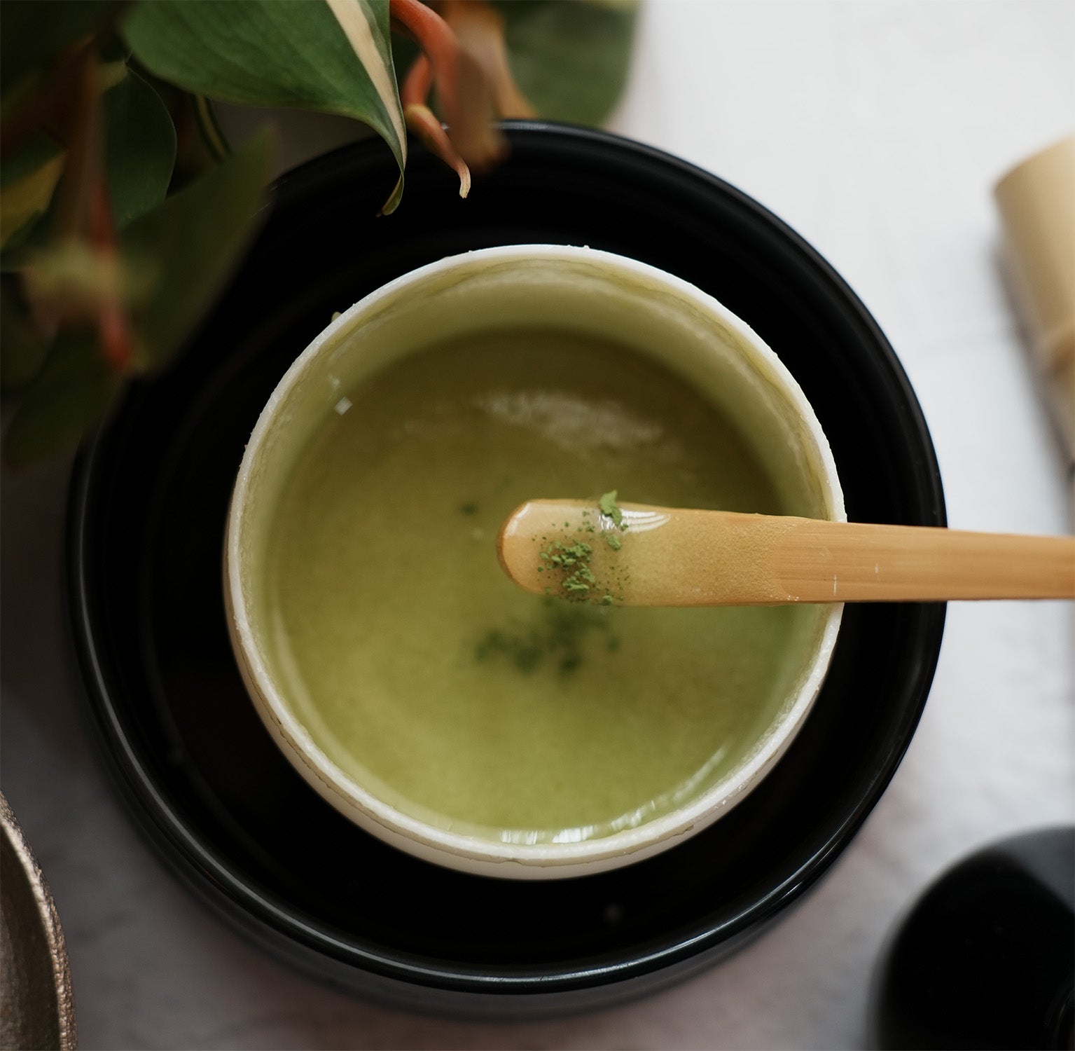 【PRO】MATCHA  FACE SCRUB 250g